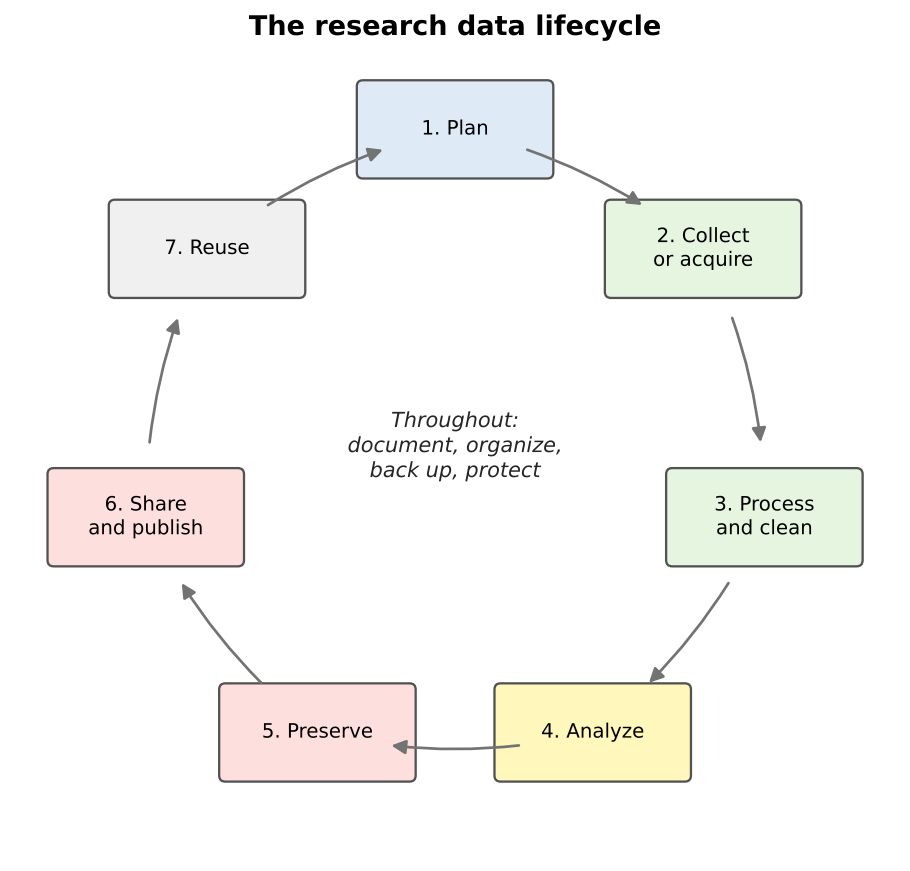 A cycle of seven boxes connected by arrows: 1 Plan, 2 Collect or acquire, 3 Process and clean, 4 Analyze, 5 Preserve, 6 Share and publish, 7 Reuse, which leads back to Plan. In the center: throughout, document, organize, back up, protect.
