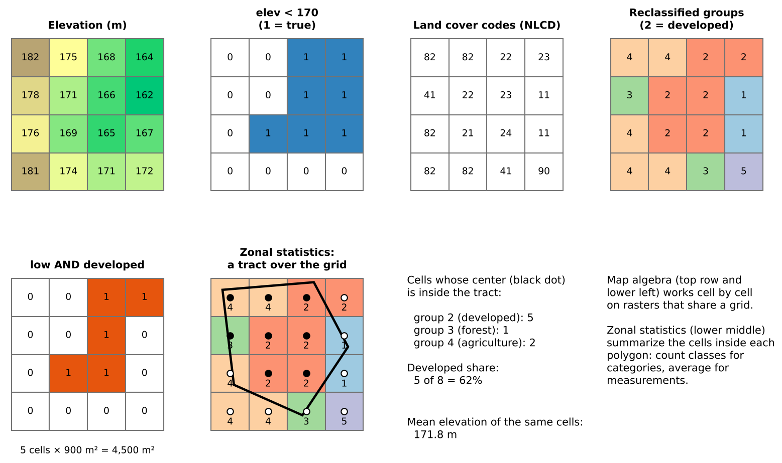 Diagram of eight panels. Top row: a 4 by 4 grid of elevations from 162 to 182 meters; the same grid after the comparison elevation less than 170, showing 1 in seven cells on the lower, right side and 0 elsewhere; a grid of NLCD land cover codes such as 82, 22, 23, 11, 41 and 90; and the same grid reclassified into groups 1 to 5, with group 2 (developed) in red. Bottom row: the cells that are both low and developed, five cells marked 1, with the note 5 cells times 900 square meters equals 4,500 square meters; the reclassified grid with a tract polygon drawn over it and a dot at the center of each cell, black where the center falls inside the polygon; a summary saying that of 8 cells whose centers are inside, 5 are developed, 1 forest and 2 agriculture, a developed share of 62 percent, and that the mean elevation of the same cells is 171.8 meters; and a short note that map algebra works cell by cell on rasters that share a grid while zonal statistics summarize the cells inside each polygon.