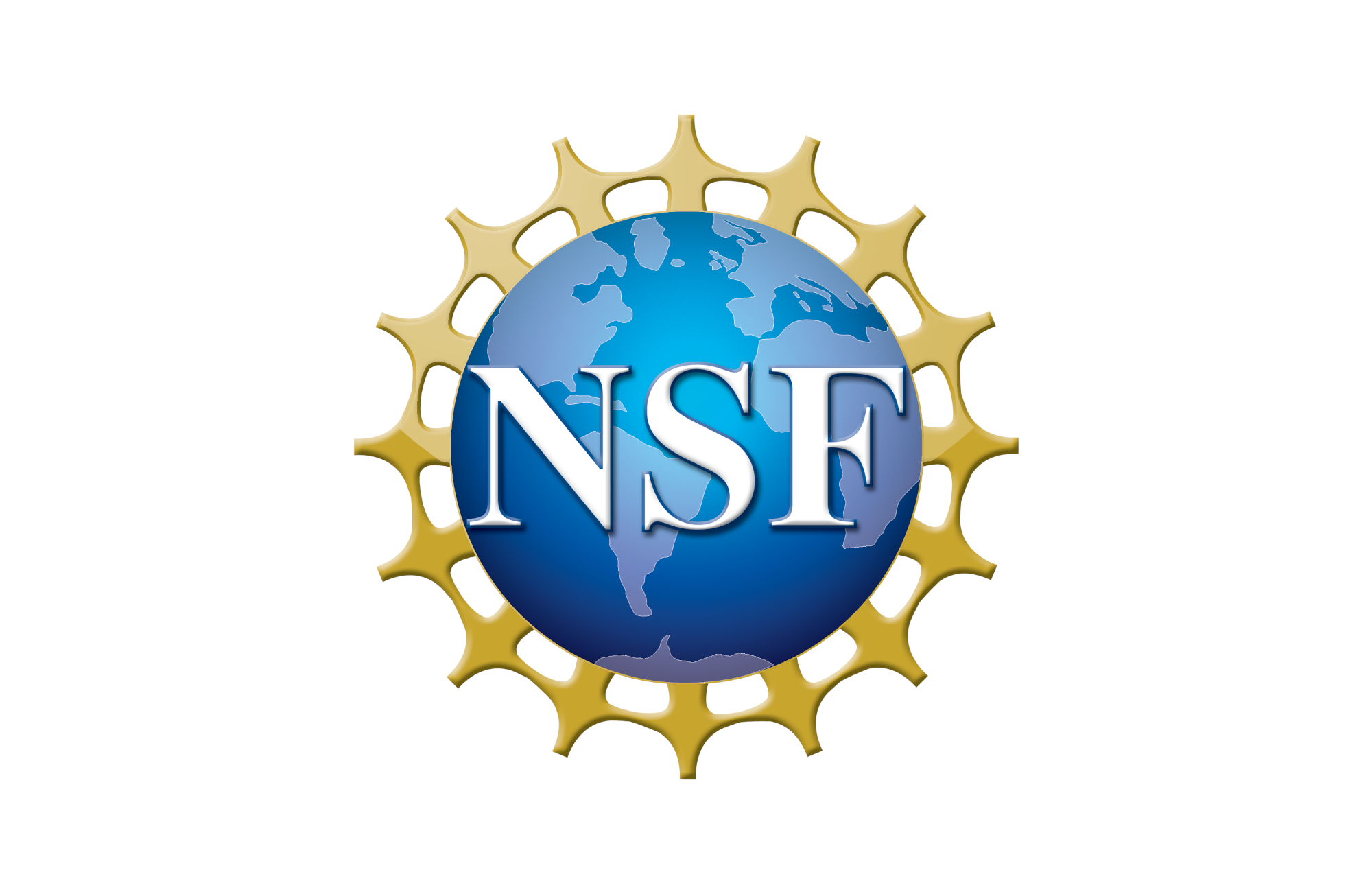 NSF Workshop