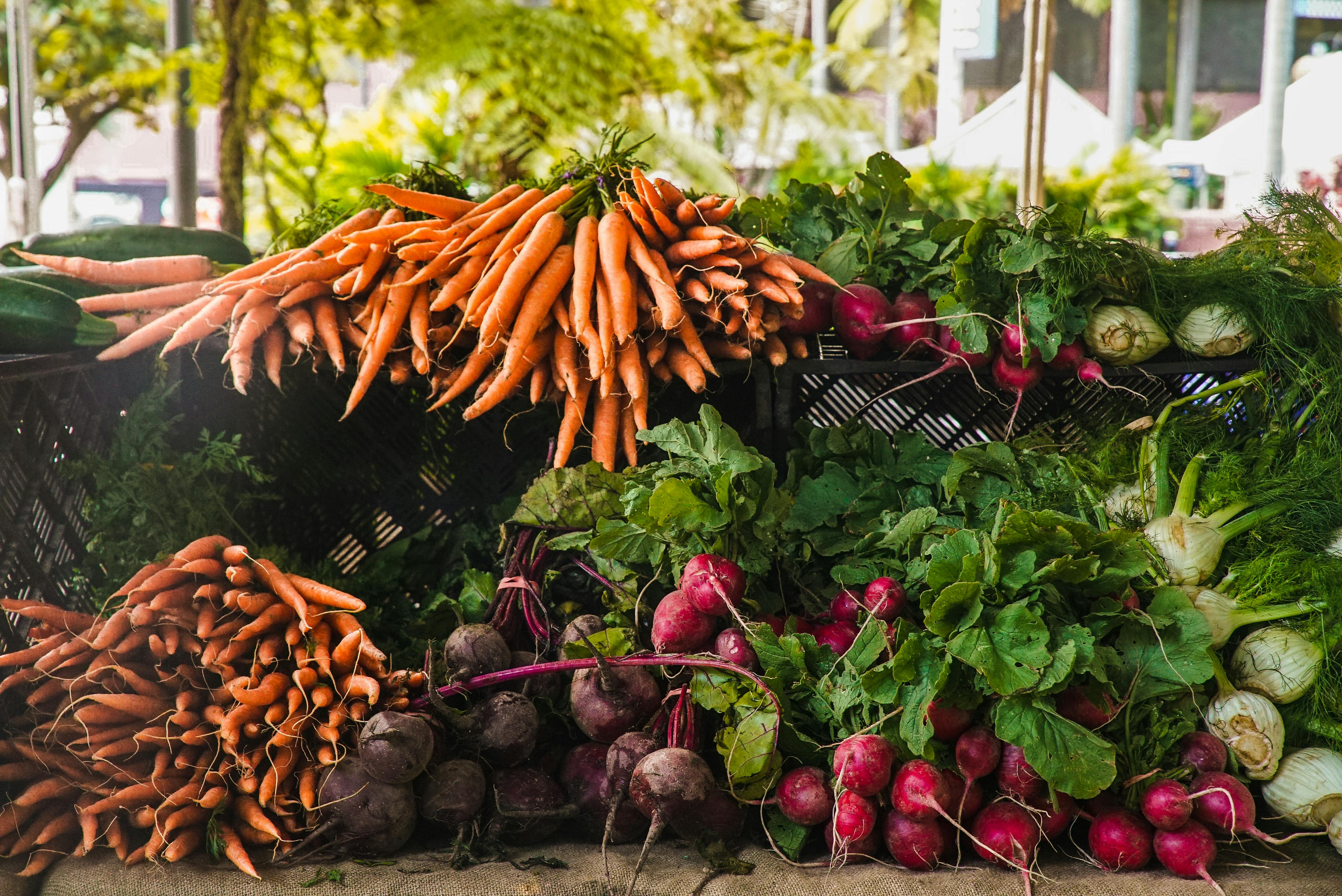 Food Desert