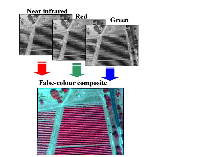 Diagram showing how true color and false color composites map spectral bands to RGB screen channels differently.